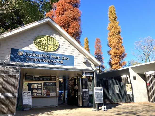 井の頭公園