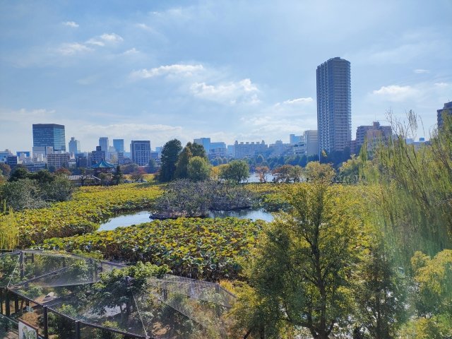 スイテ新御徒町