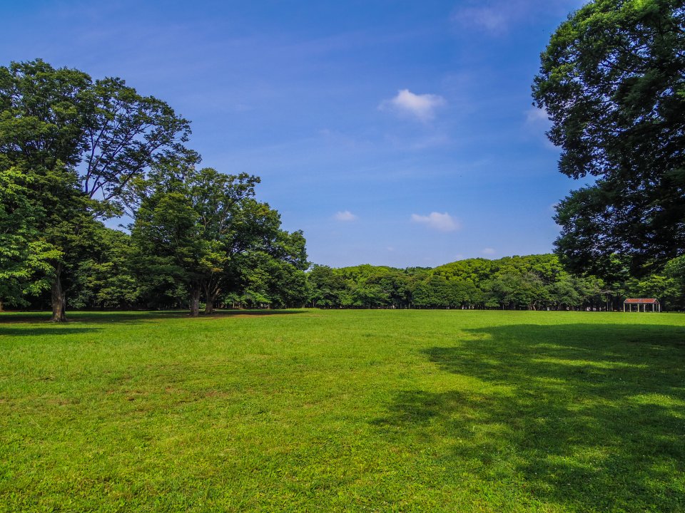 代々木公園