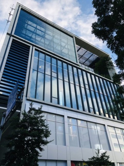 【現地取材】TS青山ビル|表参道駅徒歩1分・146坪ワンフロア大型オフィス内覧レポート【港区南青山】
