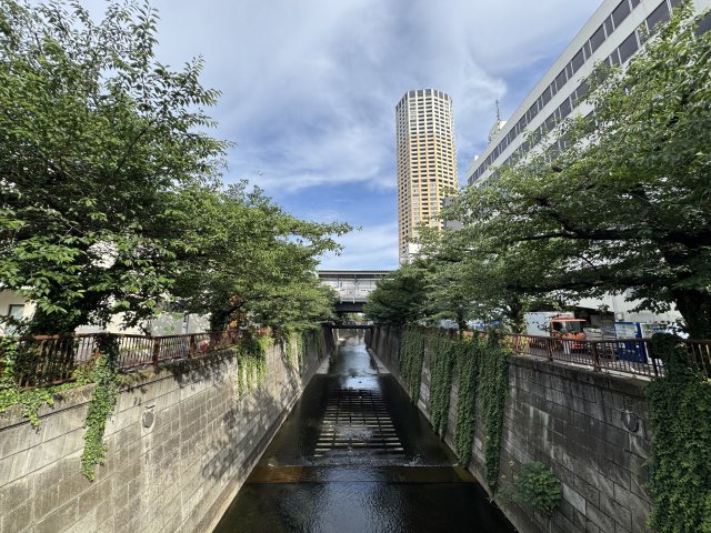 【東京都目黒区・目黒川沿いのカフェ文化とクリエイティブ産業が集積する渋谷南西部の感度の高いビジネス拠点:中目黒・青葉台・池尻大橋エリアの徹底解説と賃貸オフィスのご紹介(2026年最新)】