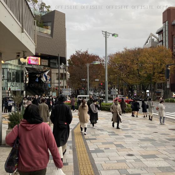 グリーンファンタジアビルのビル前面道路