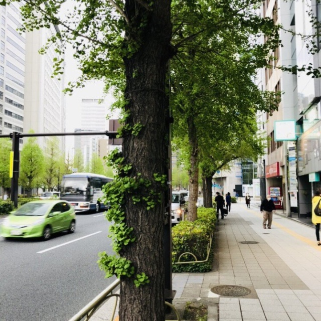 SKI西新宿 ビル前面道路