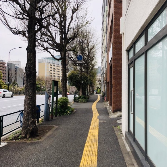パレス御茶ノ水 ビル前面道路