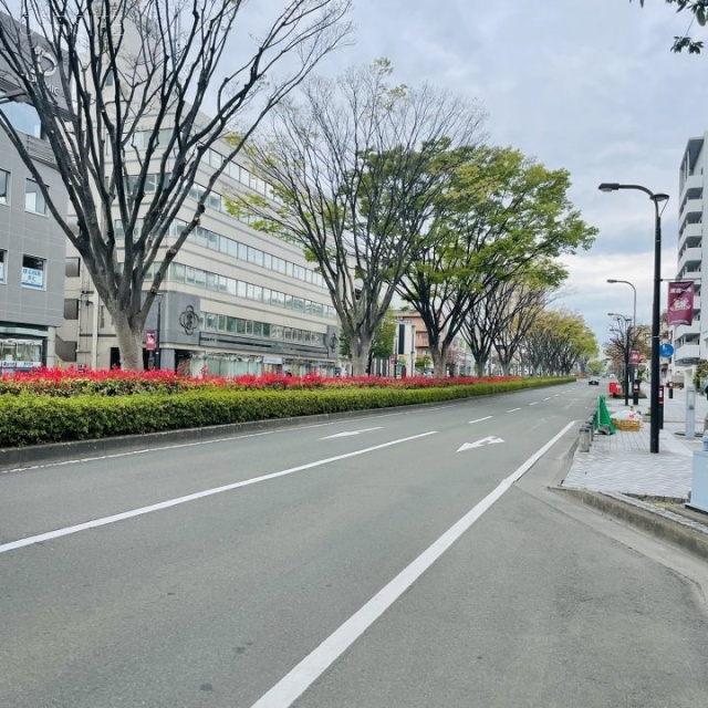 ニーズトラストビルヂング.S-Ⅰビル 前面の宮城野通