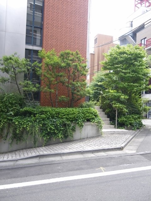 ラングス代官山 画像