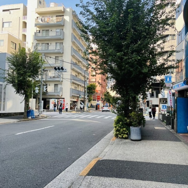 ウインズビル 前面道路
