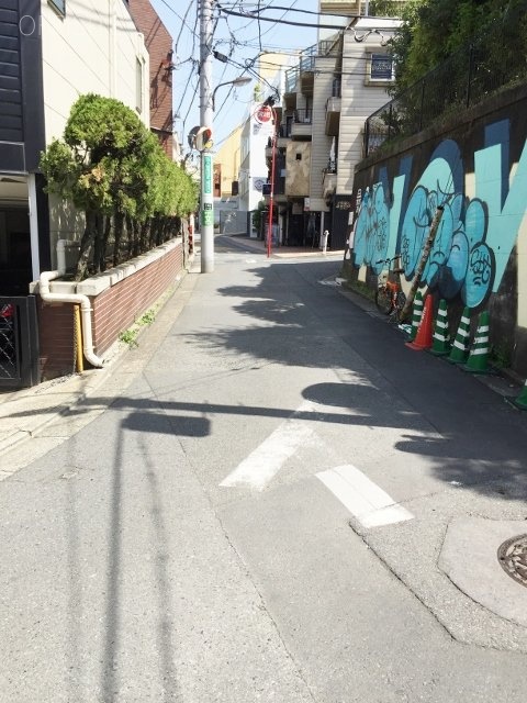 RISA(ライサ)ビル ビル前面道路