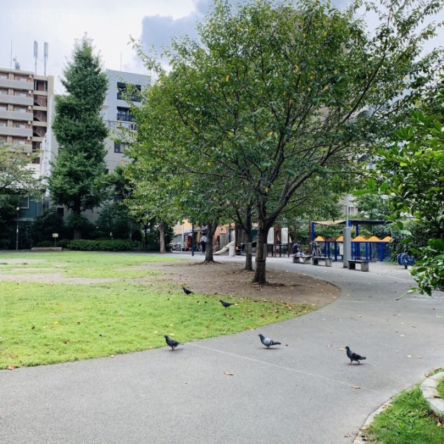 箱崎NSOビル 目の前は箱崎公園