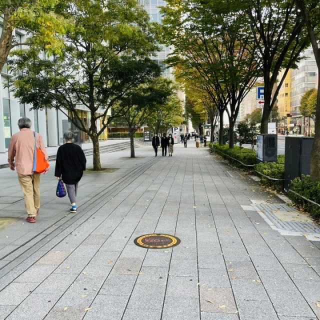 銀座松竹スクエア ビル前面道路