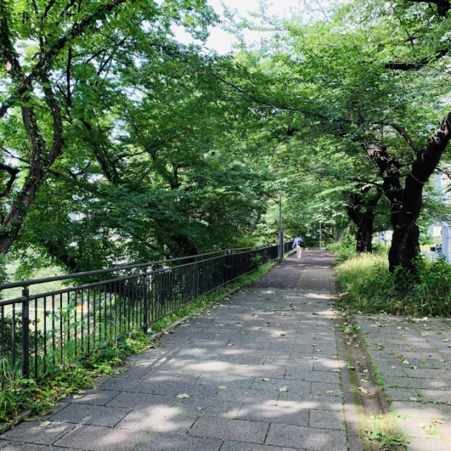 KYONIビル 外濠公園の緑道が目の前