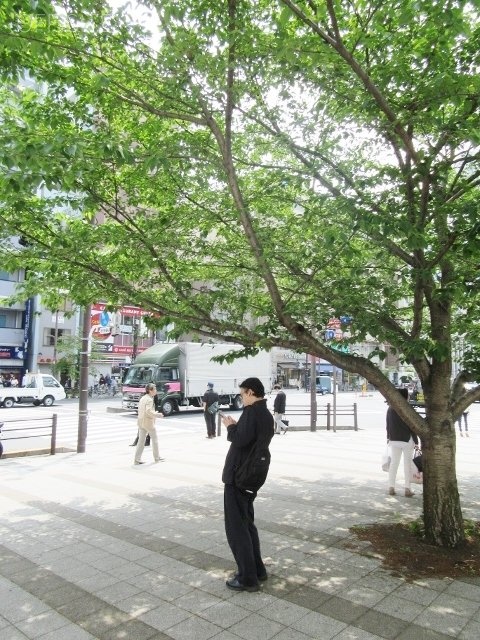 三田通中央ビル 画像