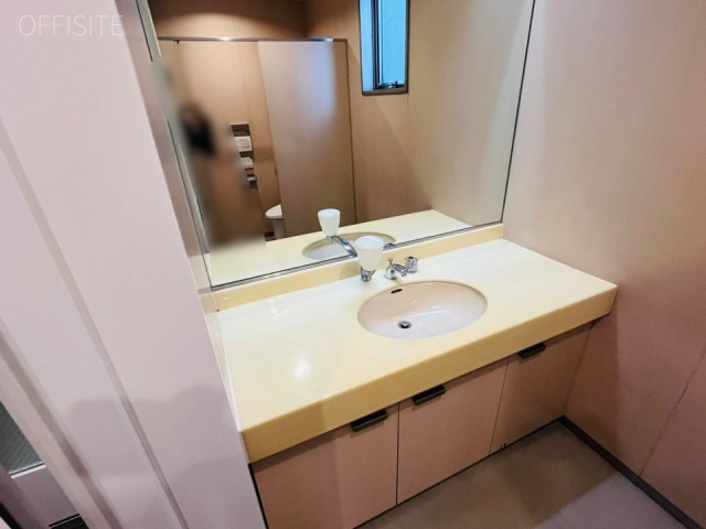 ザ・パークレックス新川 洗面