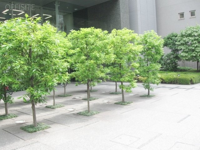 スターゼン品川ビル　IMG_5280 (640x480).jpg