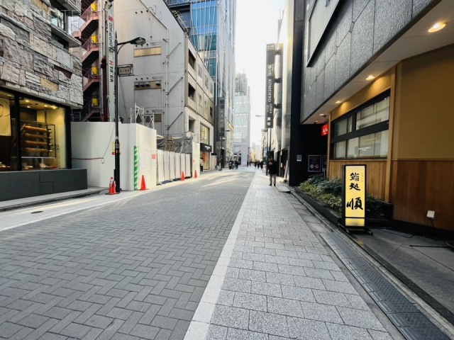 ニューギンザビル6号館 周辺