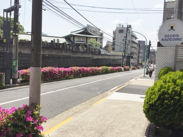 サンビューハイツ神宮ビル 画像