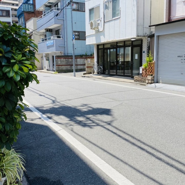 ウィステリア板橋 ビル前面道路