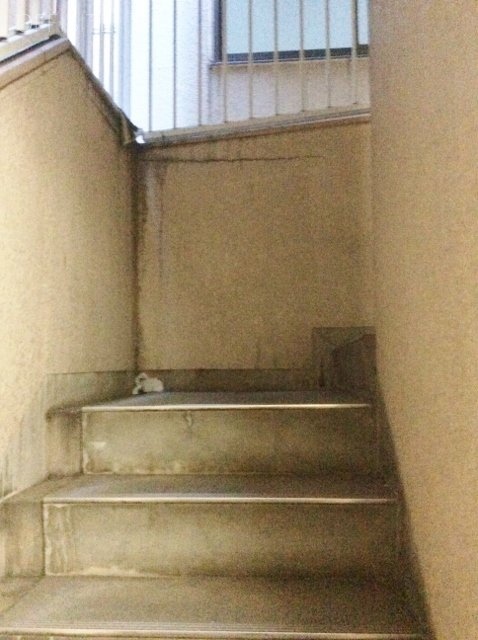 サワダビル 階段