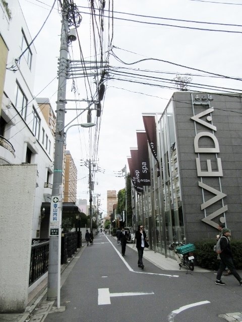 サウス青山マンションビル 画像