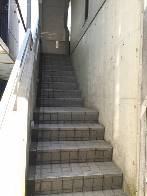 F93 Harajuku 画像