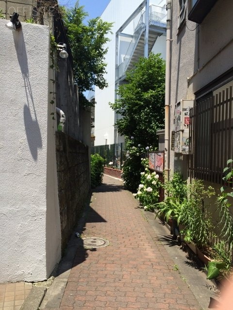 VIA原宿 ビル前面道路