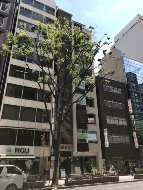 星野ビル 外観