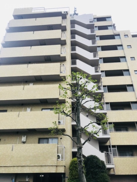 サンビューハイツ新宿 外観