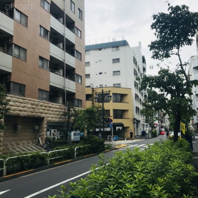 ユニーブル島津山 ビル前面道路