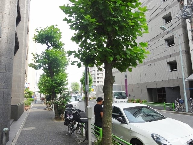 グリーンビル ビル前面道路