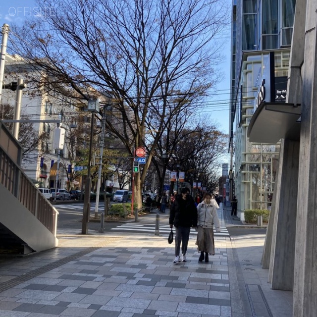 表参道Keyakiビル ビル前面道路