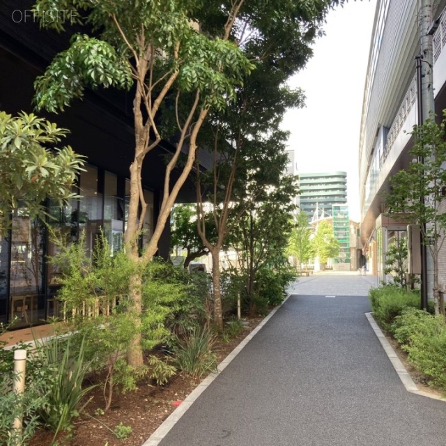 SAKURA TERRACE　ビル前面道路