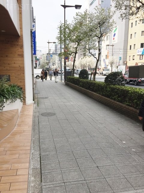 メローナ日本橋 ビル前面道路