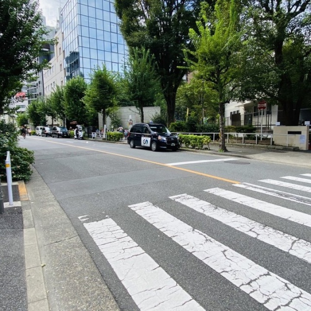 ビオス(Bios)ビル　ビル前面道路