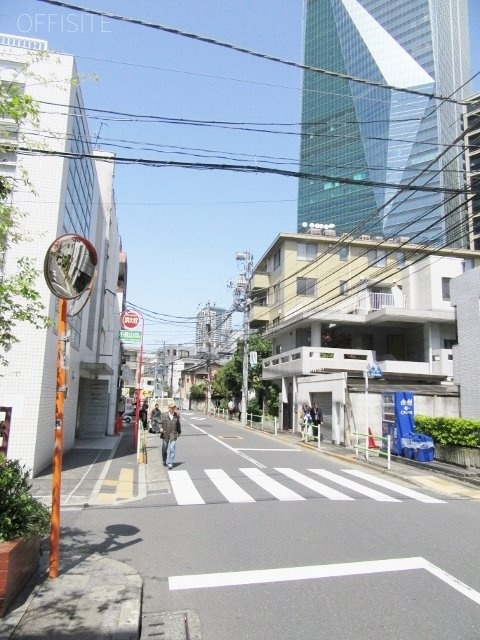 ドミパルファン 画像