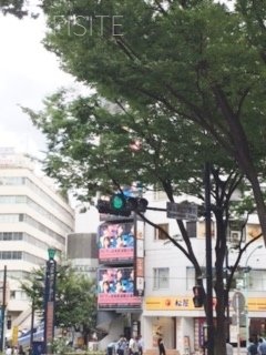 スタービル 画像