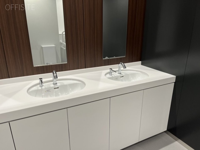 明治薬科大学剛堂会館　洗面