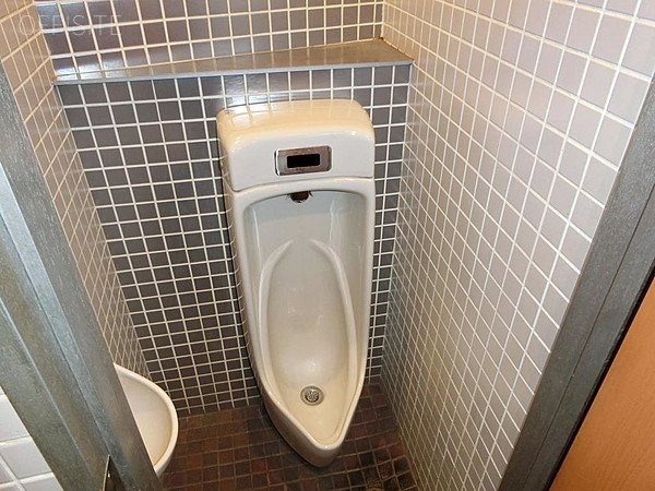 筑波ビル 1階【B】 22.96坪　トイレ