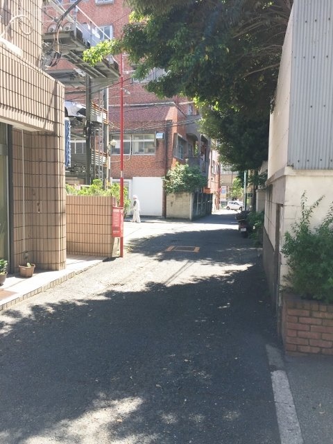 メゾンタニグチビル ビル前面道路