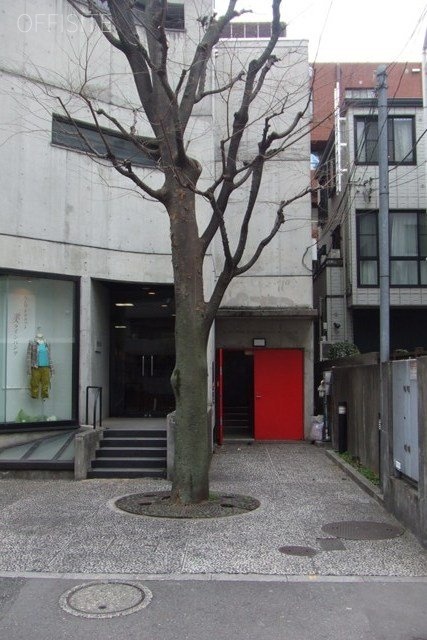 シバタビル 画像