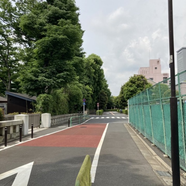 北の丸レジデンスビル ビル前面道路
