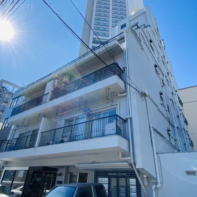 南青山アイビーハイツ 外観