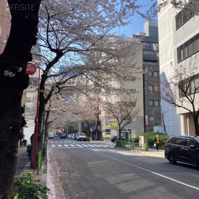 日宝茅場町ビル 前面道路