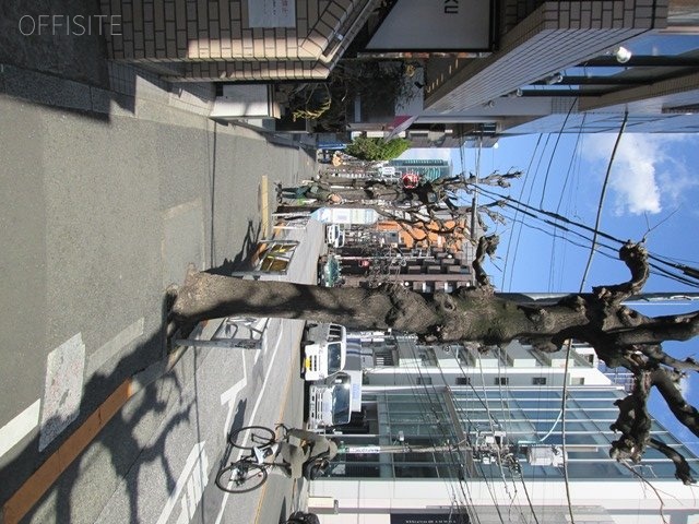 代官山宝ビル ビル前面道路
