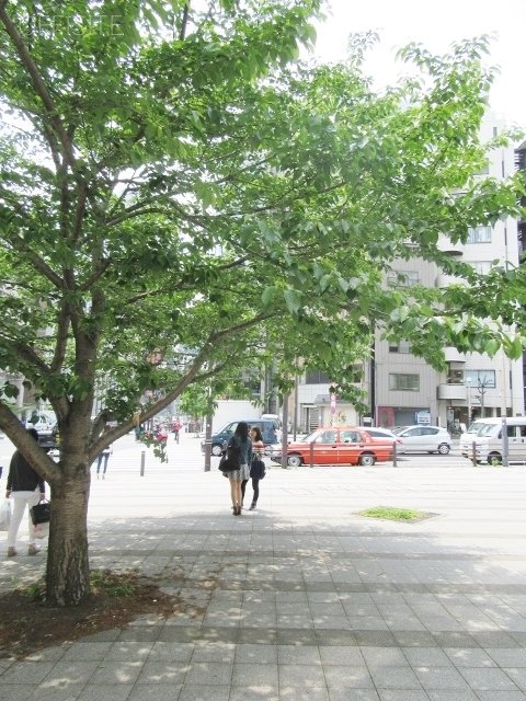 三田通中央ビル 画像