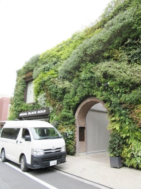 サンタキアラビル 画像