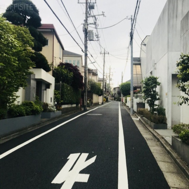 FLEG自由が丘 ビル前面道路