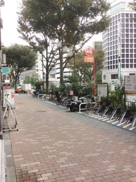 新宿ワタセイ・タマビル ビル周辺道路