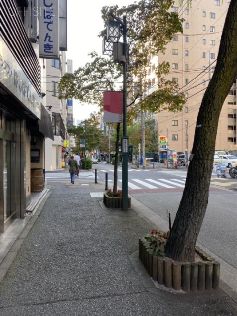 カテリーナ柳通りビル ビル前面道路