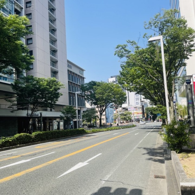 グリーンビルディング　前面道路