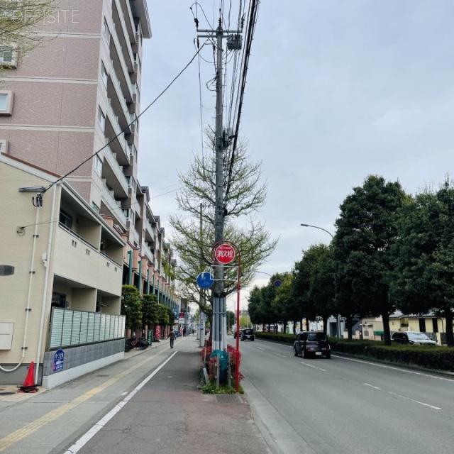 上杉五番館 前面道路